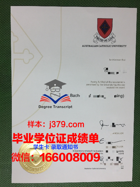 巴拉那天主教大学毕业证成绩单