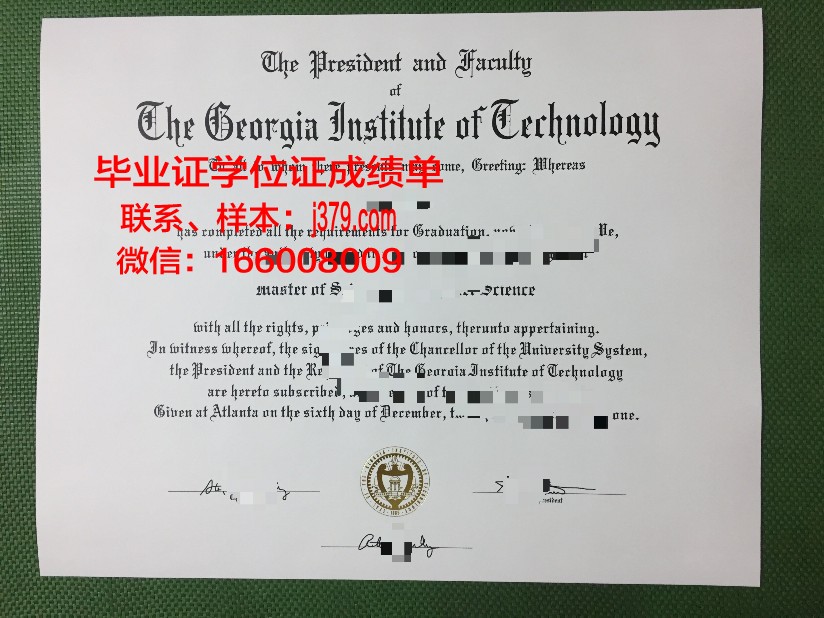科克理工学院diploma证书(科克大学申请条件)