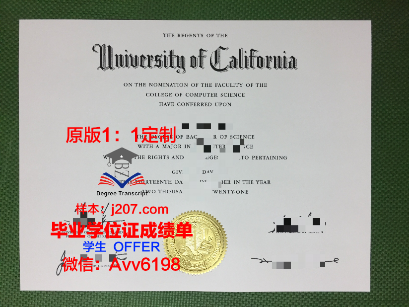 毛里求斯大学毕业证样本(毛里求斯留学条件)