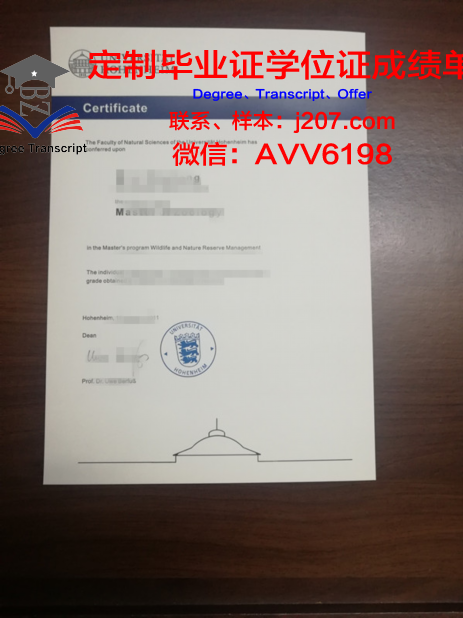 罗森海姆应用技术大学毕业证等级(德国罗森海姆应用科技大学)