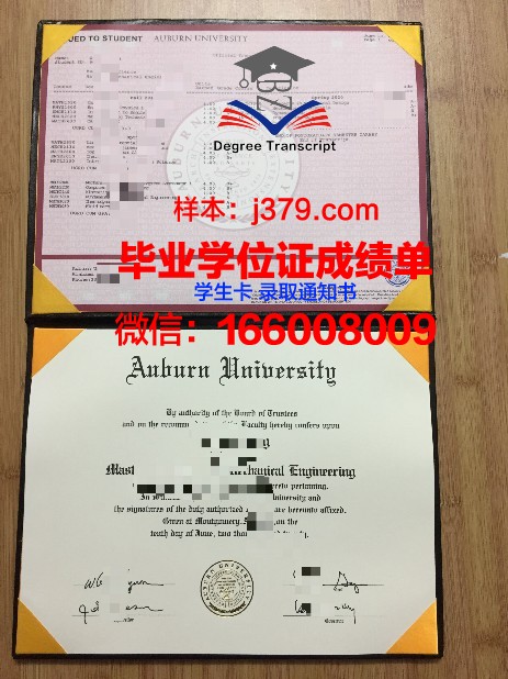 莱奥本矿业大学毕业证模板(莱奥本矿业大学排名)