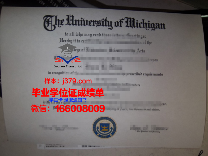 莱切美术学院本科毕业证：开启艺术之路的黄金钥匙