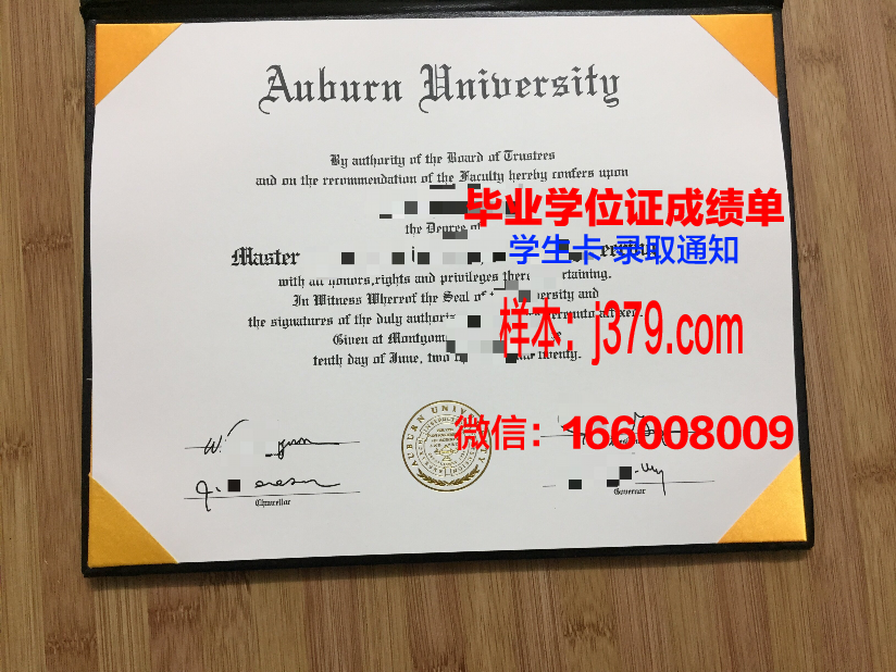 莱奥本矿业大学毕业证书模板