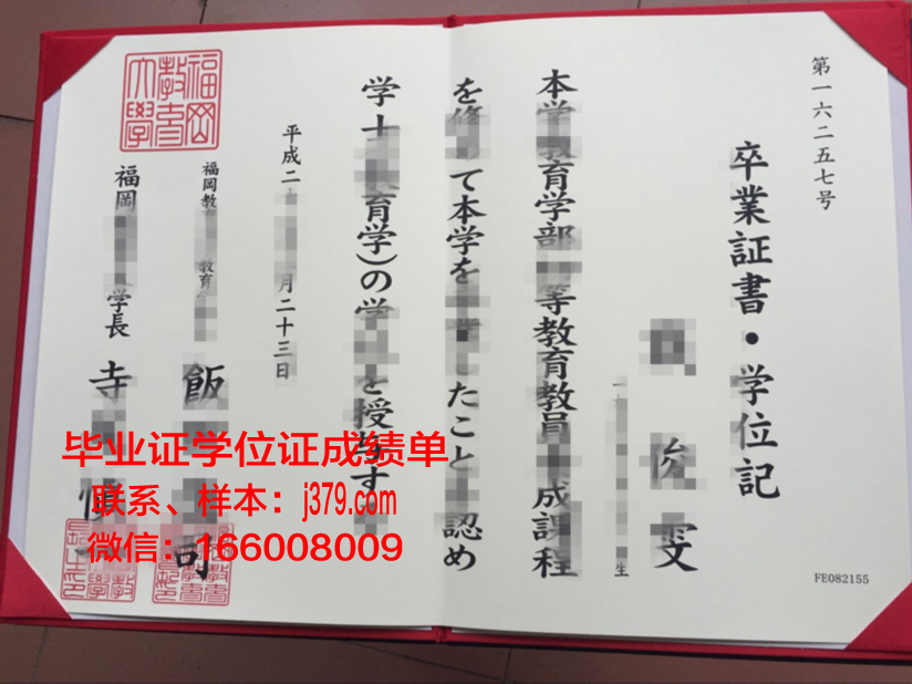 福冈教育大学毕业证成绩单：承载知识与梦想的证明