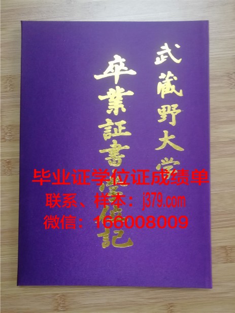 大河谷州立大学毕业证壳子