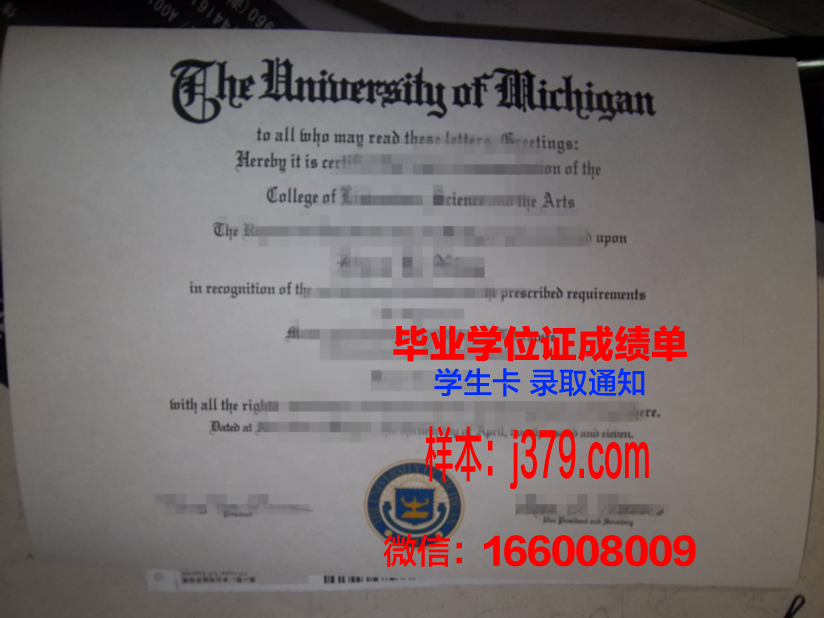 大学没有毕业证怎么补救(大学生没有毕业证怎么办)