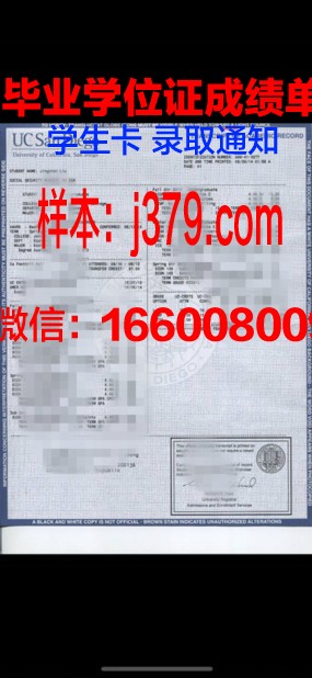 普林西匹亚学院成绩单(吉林大学)