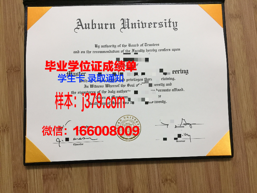 莱奥本矿业大学毕业文凭