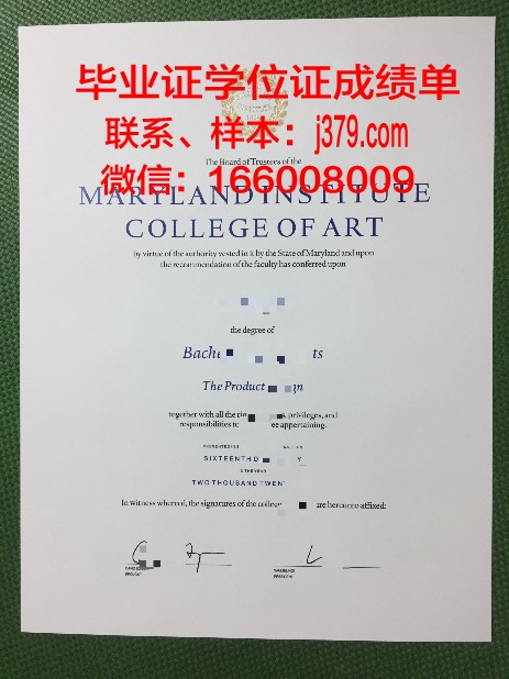 明尼苏达国际艺术学院毕业学位