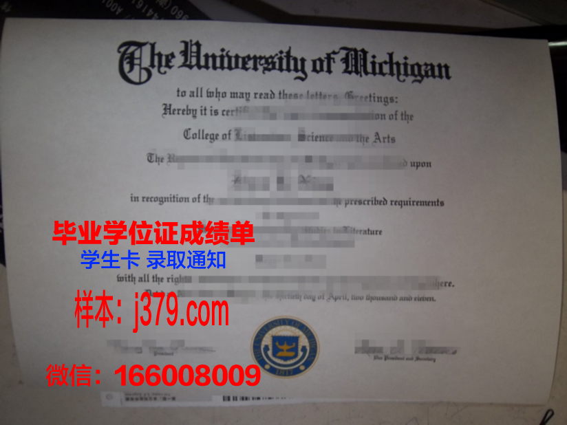 巴比什-波雅依大学毕业证成绩单：一份承载荣誉与梦想的证明