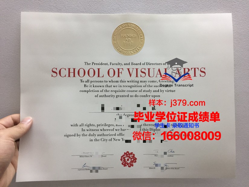 明尼苏达国际艺术学院毕业学位