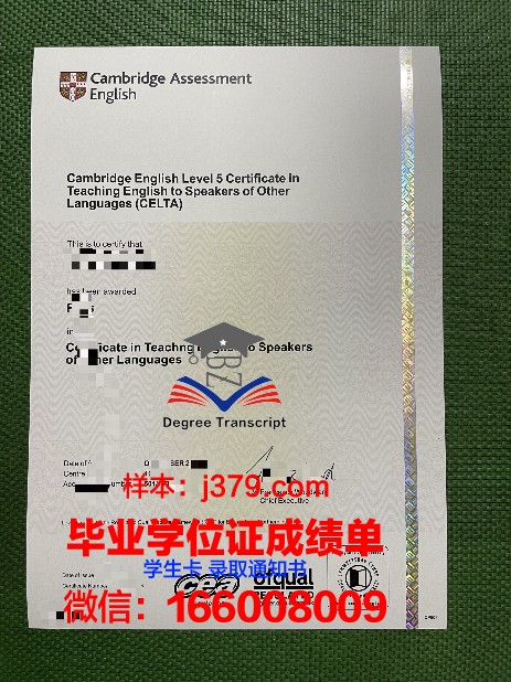 大学英语学位证书：跨越语言障碍，开启国际视野