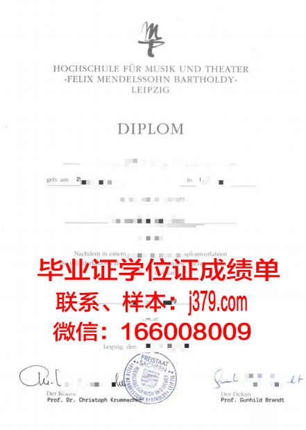 莱比锡HHL管理学院硕士毕业证书样本(莱比锡大学哲学系)