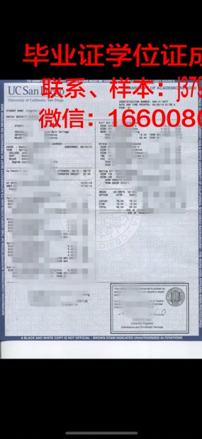 蓝岸成绩单：解码教育创新之路