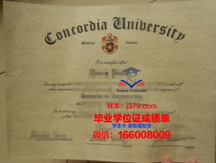 西亚大成绩单：西亚地区教育发展的一面镜子