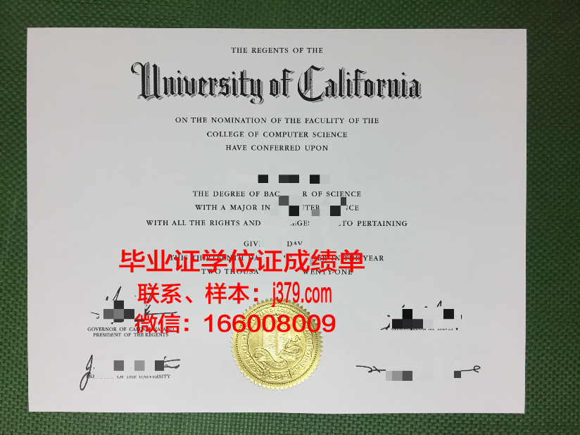 大学没有毕业证怎么补救(大学生没有毕业证怎么办)