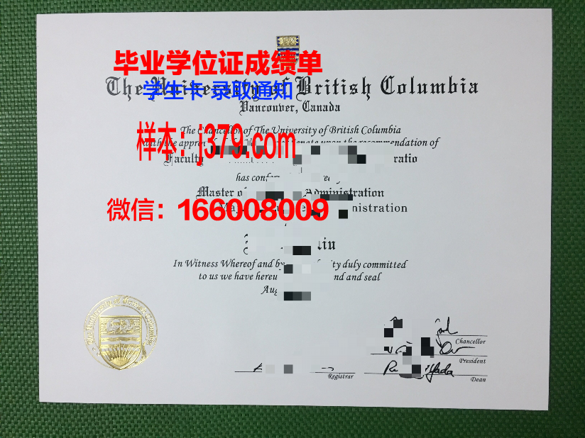 西亚大成绩单：西亚地区教育发展的一面镜子