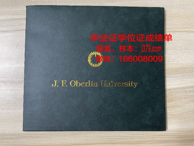 莱西姆大学八打雁校区diploma证书(莱西姆大学博士专业)