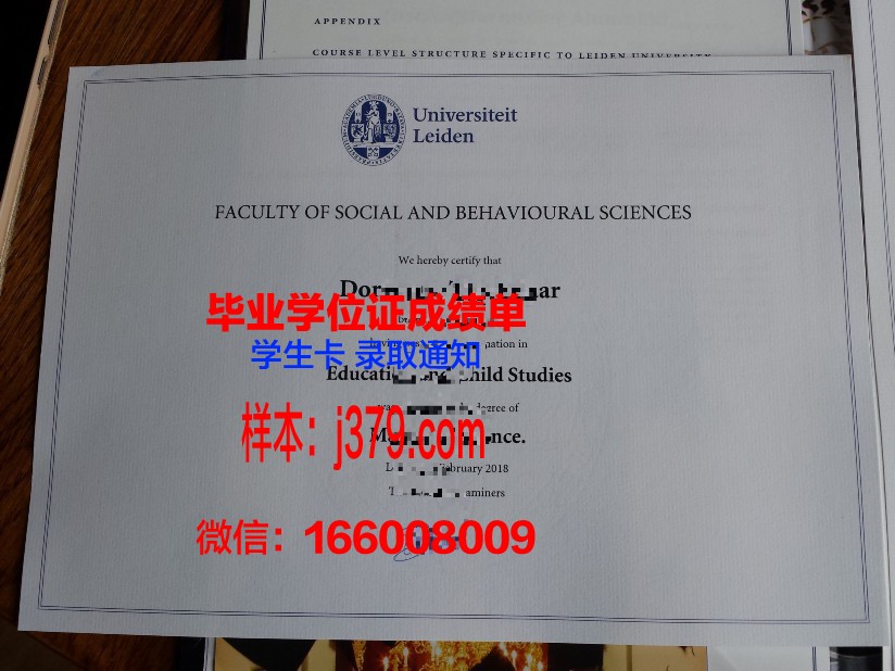 莱顿大学本科毕业证：开启国际视野的金钥匙