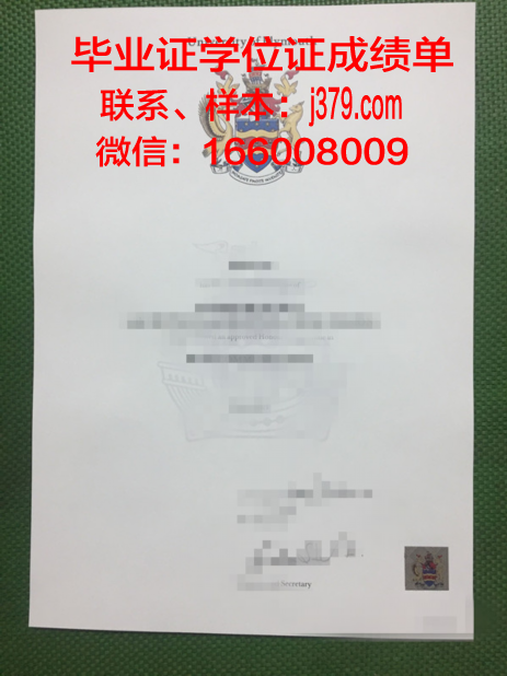 普利茅斯大学成绩单图片(普利茅斯大学2+2)