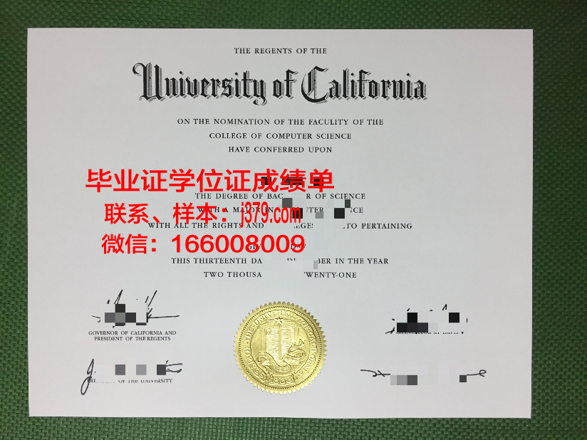 大类专业毕业证书上写的什么(大类专业毕业证书上写的什么意思)