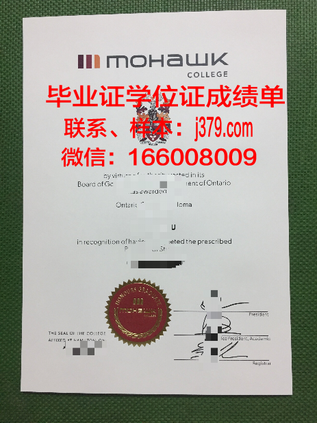 莫霍克应用艺术与技术学院文凭(莫霍克是什么意思)