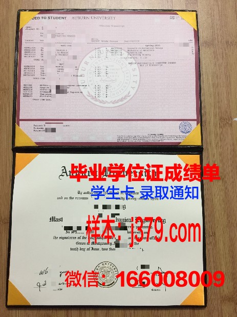 莱奥本矿业大学毕业文凭