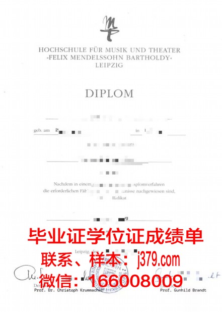 莱比锡音乐和戏剧学院毕业证什么样子(莱比锡美术学院)