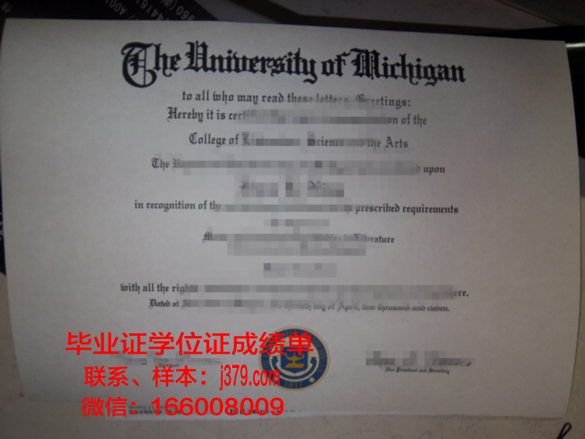 大神大学毕业证长什么样(大学生毕业证长什么样)