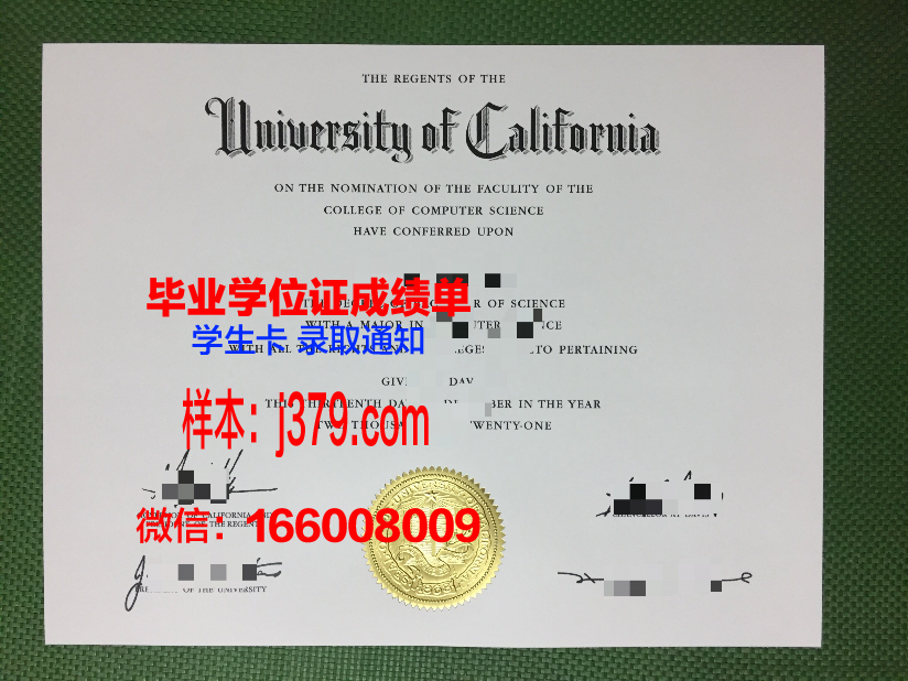 普林本科毕业证：一份跨越时空的荣誉证书