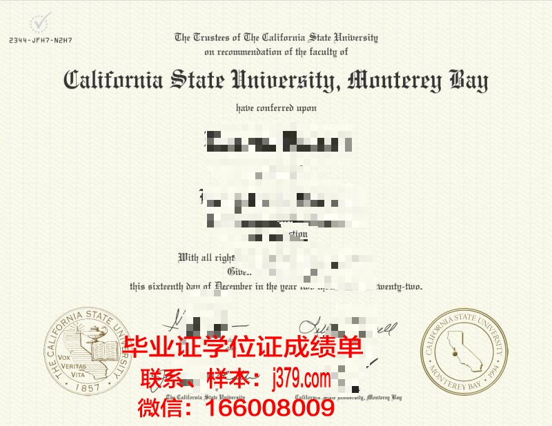 蒙特雷理工学院毕业证防伪(蒙特雷国际研究院奖学金)