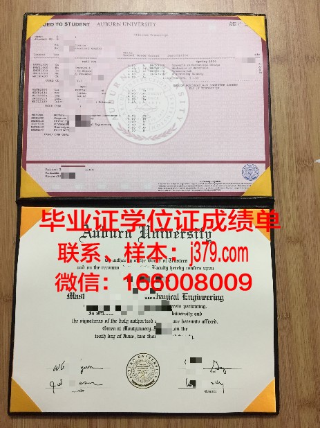 莱奥本矿业大学毕业证书什么颜色