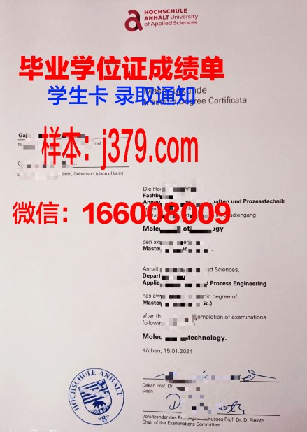 莱茵曼应用技术大学毕业证书原件(德国莱茵曼应用技术大学)