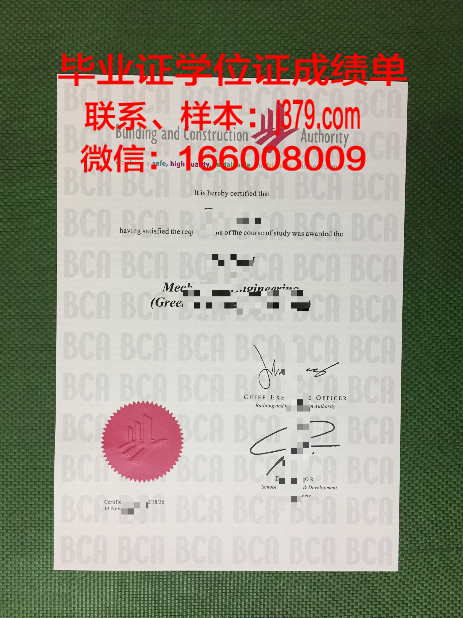 巴黎塞纳河谷建筑学院本科毕业证：开启建筑梦想的钥匙