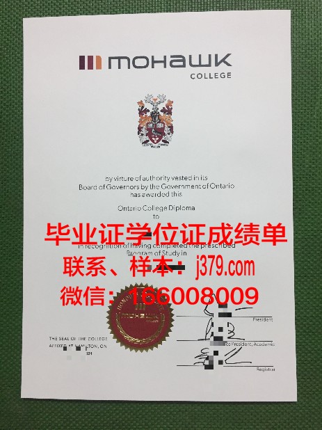 莫霍克应用艺术与技术学院文凭(莫霍克是什么意思)