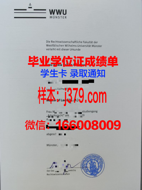 明斯特艺术学院diploma证书(明斯特大学申请条件)