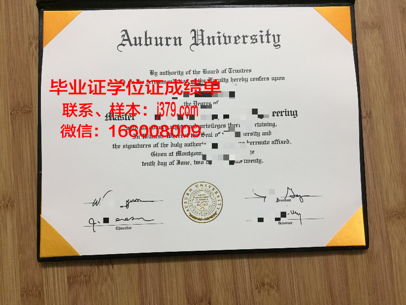 莱奥本矿业大学毕业证模板(莱奥本矿业大学排名)