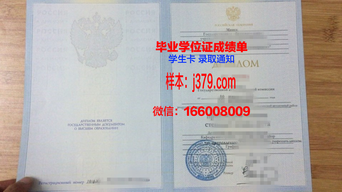 莫斯科理工大学学位成绩单定制：探究背后的市场需求与合法性