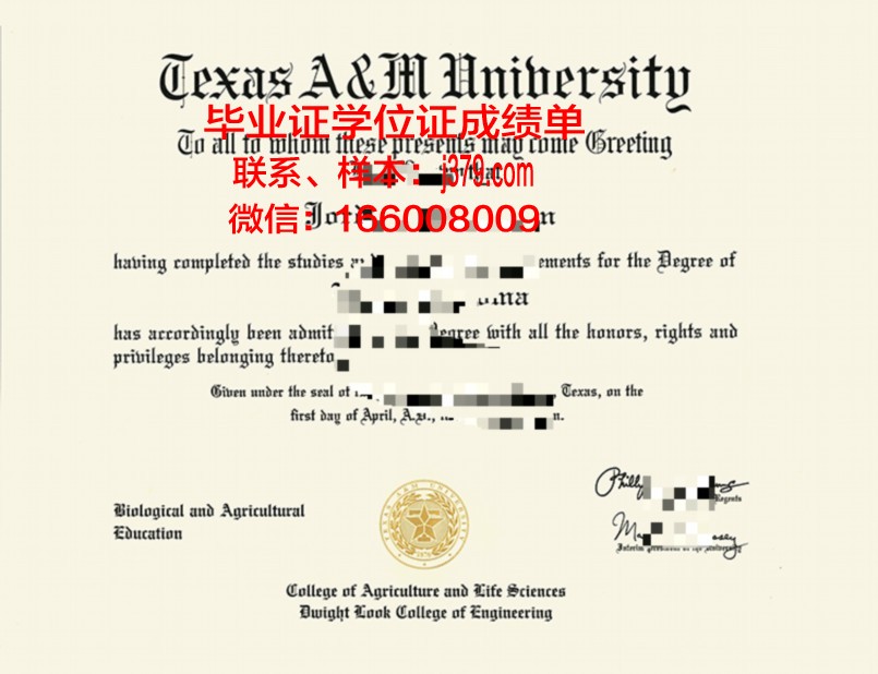 普利维尔农工大学毕业证成绩单：一张纸的重量与价值