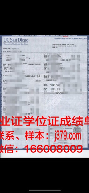 普埃布拉美洲大学成绩单：揭开拉美教育的新篇章