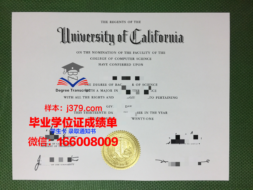莱比锡大学毕业证模板(莱比锡大学谁建的)