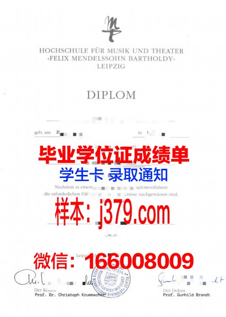 莱比锡HHL管理学院毕业证长什么样(莱比锡大学bwl)