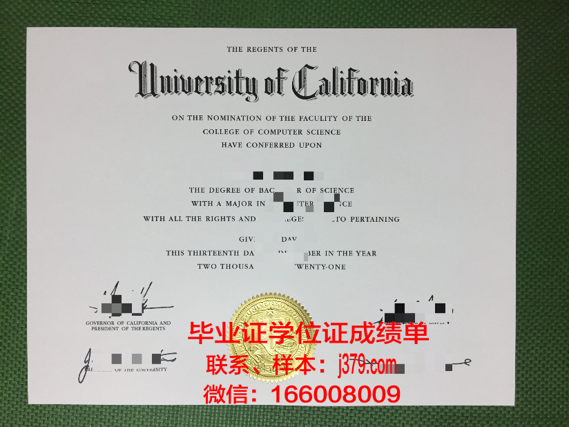 菜堡毕业证成绩单：一份另类的青春记忆