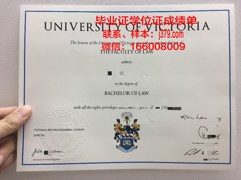 大维毕业证：一张承载梦想与奋斗的纸