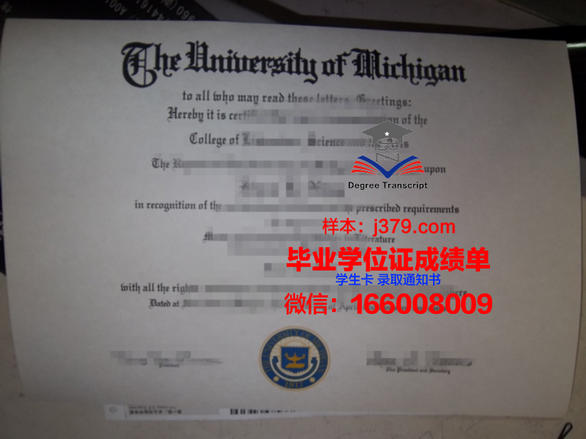 大谷大学博士毕业证：一张纸背后的故事