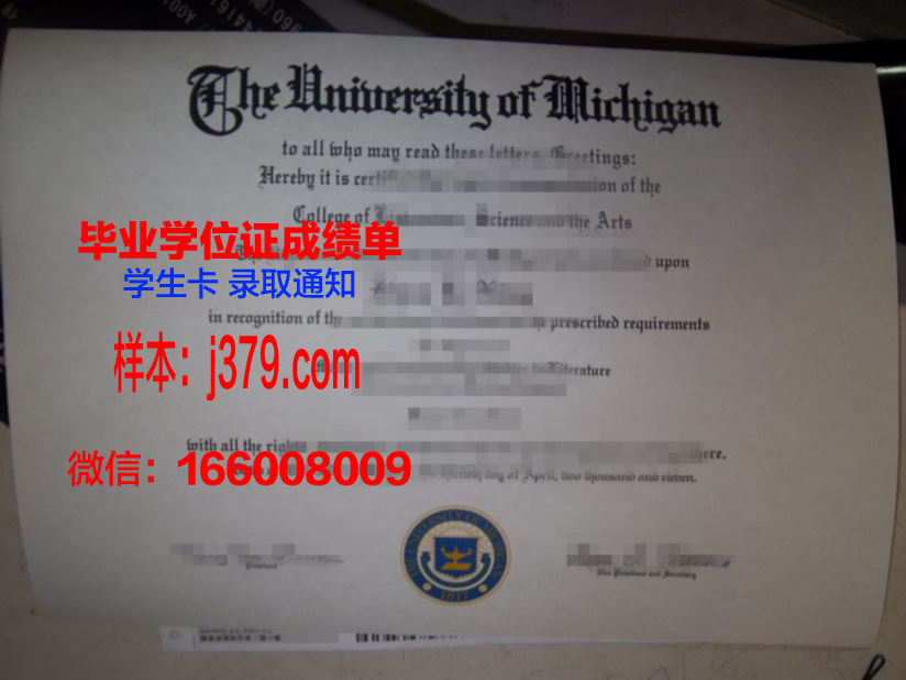 西伯利亚国立电信与信息大学硕士毕业证：开启国际视野的大门
