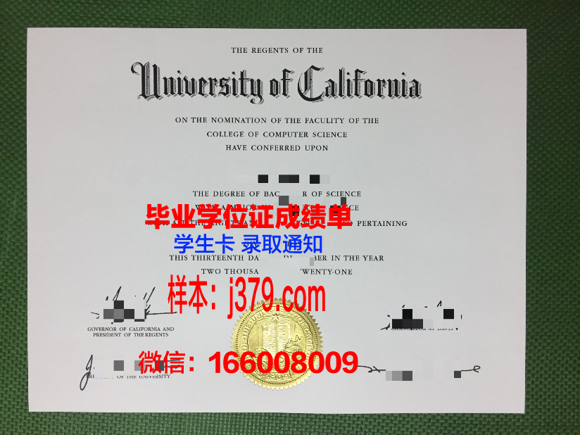 大师本科毕业证：探寻学历背后的价值