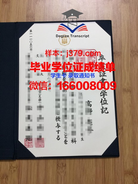 日本工作只有毕业证(日本留学没毕业能拿到工作签证吗)