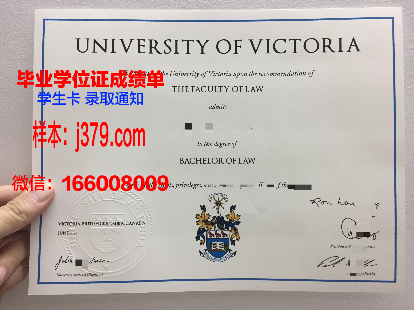 大维博士毕业证：一纸证书背后的故事