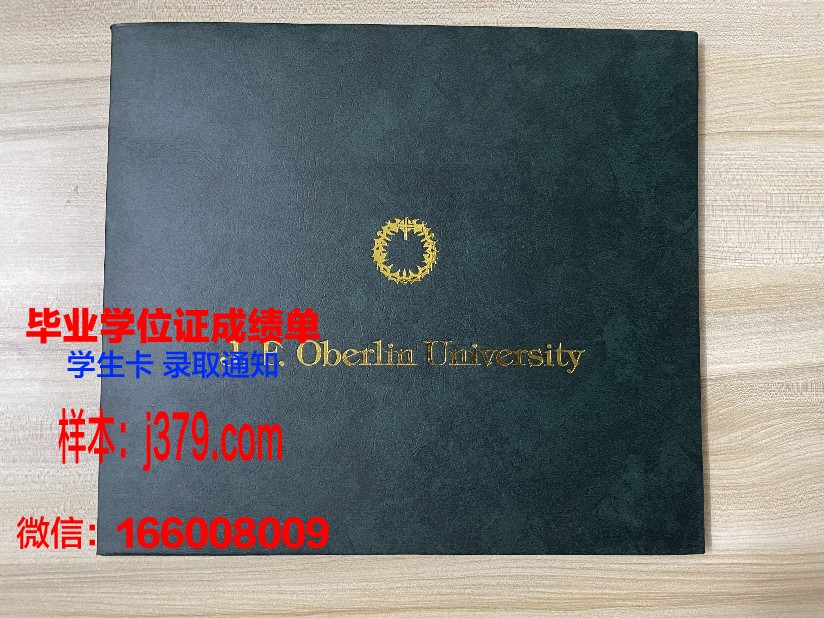 南布列塔尼大学国立高等工程师学院硕士毕业证书样本(南布列塔尼大学世界排名)